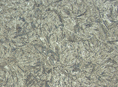 Photomicrograph 1