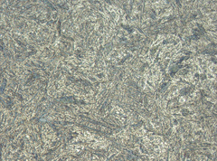 Photomicrograph 2