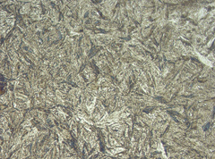 Photomicrograph 3