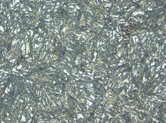 Photomicrograph 4