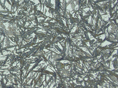 Photomicrograph 5